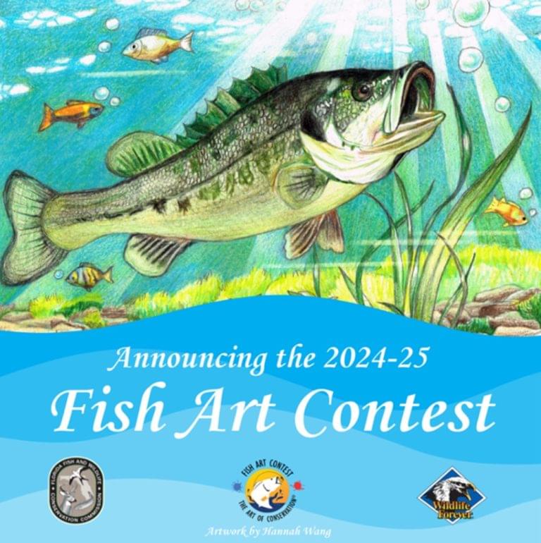 Calling All Young Artist! Florida’s 2024-2025 Fish Art Contest Begins